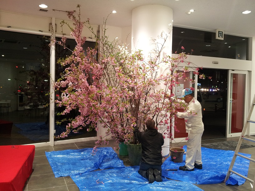 ～ひと足早くお花見を～ 野点会開催のご案内。